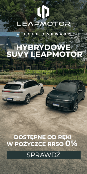 Leapmotor C10 Hybrid 300x600